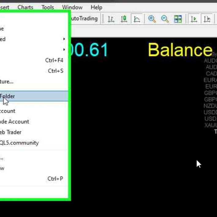 How to Use Custom Indicators in the Forex MT4 Platform (3)