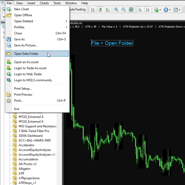How to Use Template in the Forex MT4 Platform (4)