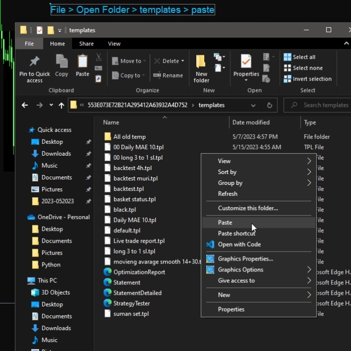 How to Use Template in the Forex MT4 Platform (6)