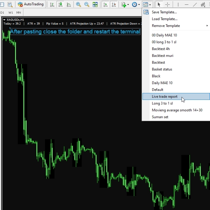 How to Use Template in the Forex MT4 Platform (7)